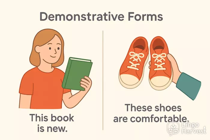 this book these shoes