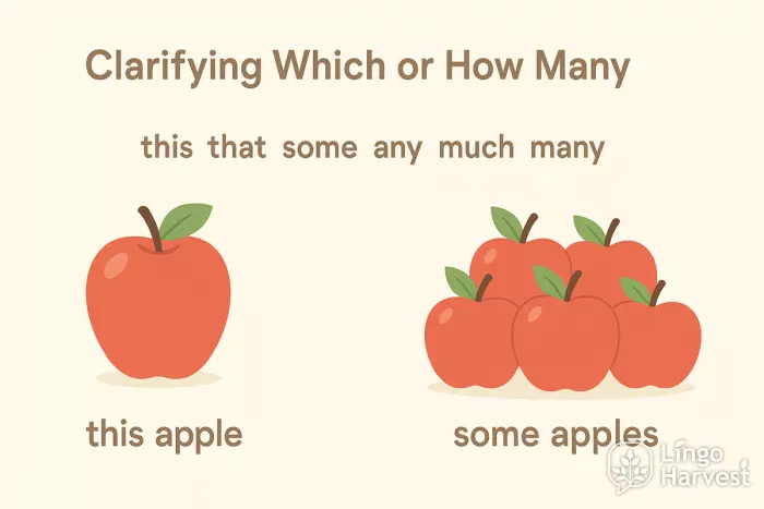 this that some any many apples