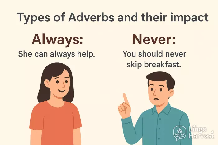 types of adverbs always never examples