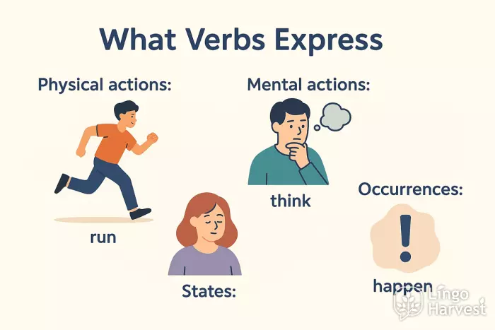 verb types run think know happen
