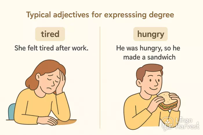adjectives expressing degree examples