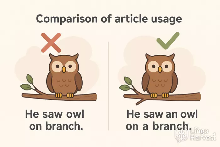 article usage comparison