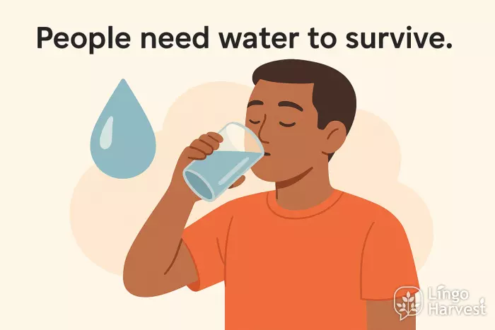 articles zero article people need water