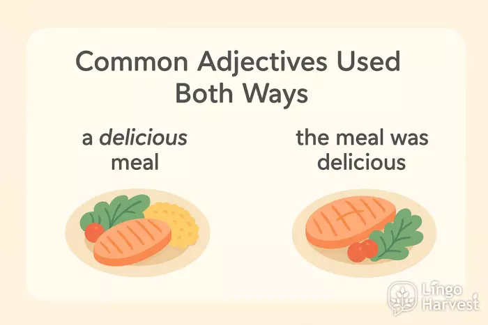 common adjectives used both ways delicious meal