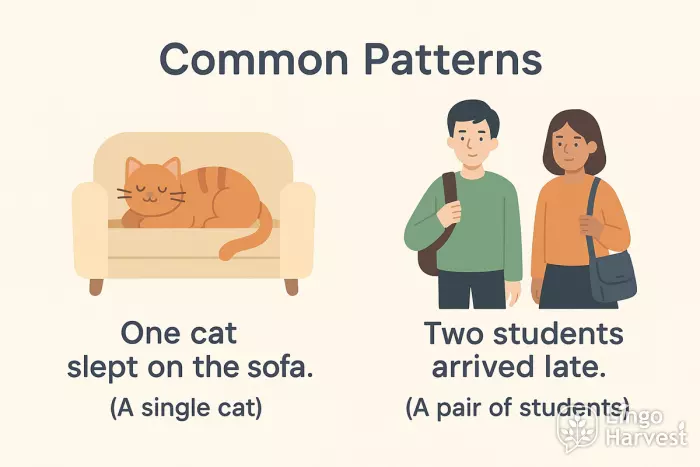 common patterns one cat two students