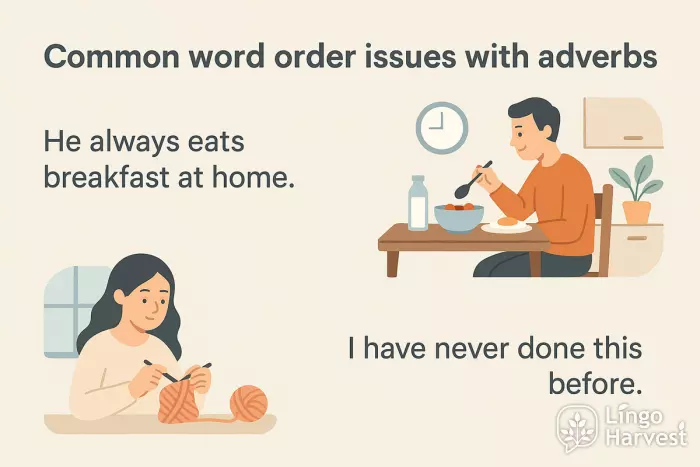 common word order adverbs examples