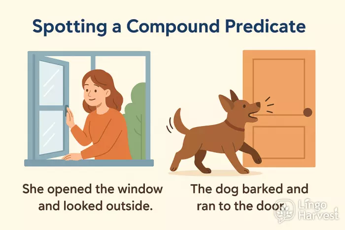 compound predicate window dog actions