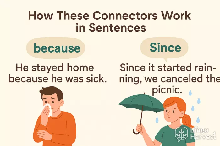connectors because since