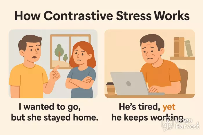contrastive stress with examples