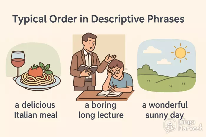descriptive phrases adjective order meal lecture day