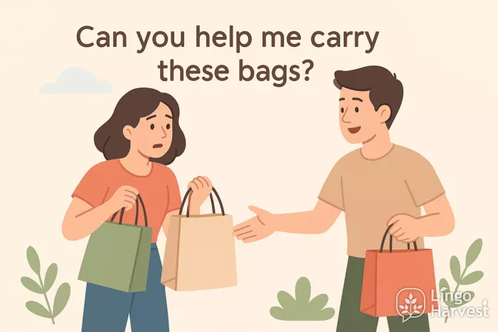 help verb carry bags