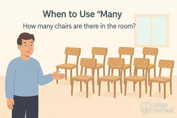 how many chairs in room