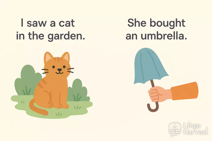 introducing a cat umbrella