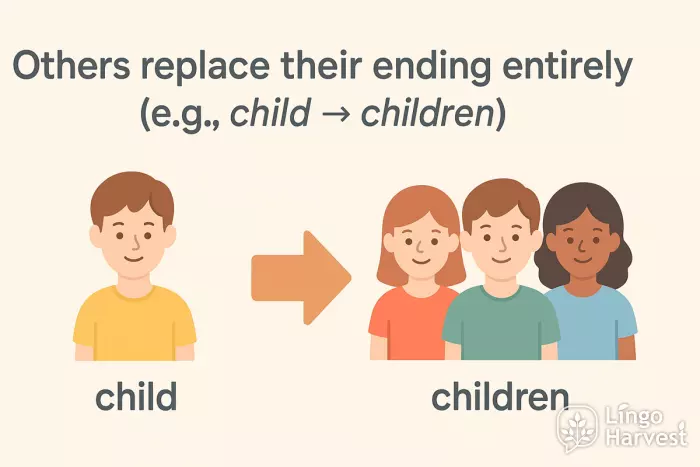 irregular plural child children