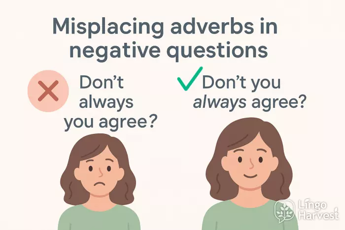 misplacing adverbs negative questions