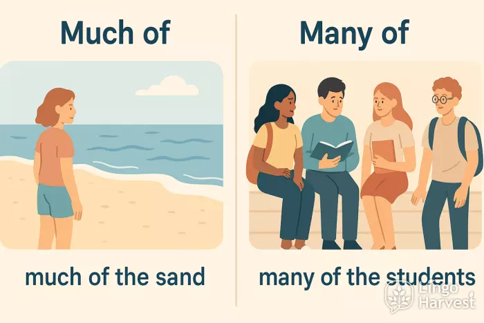 much of sand many of students