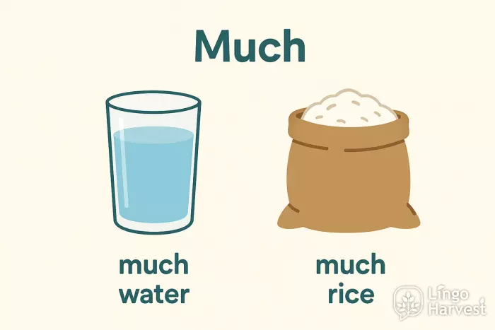 much water rice uncountable