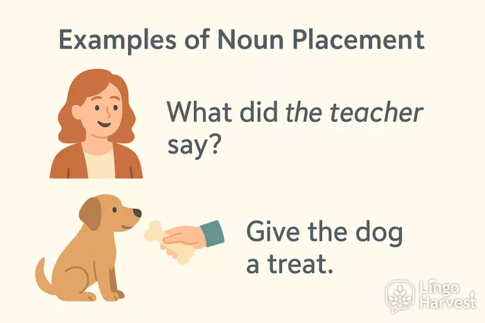 noun placement teacher dog