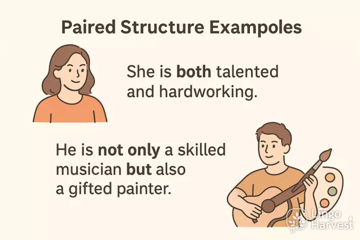 paired structure both and not only but also