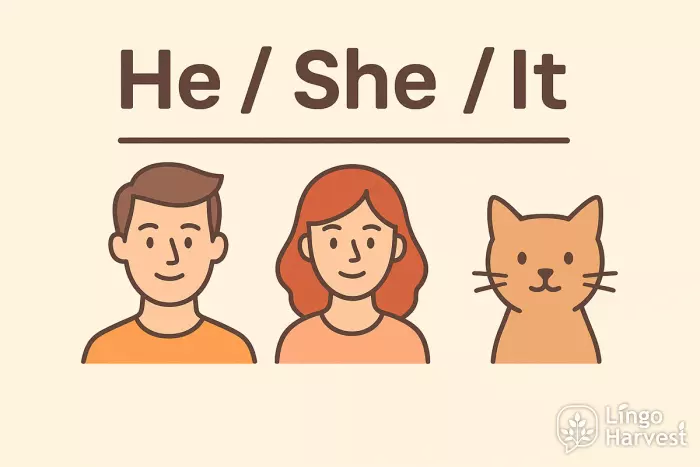 he, she, it pronouns shown with man, woman, and cat illustration