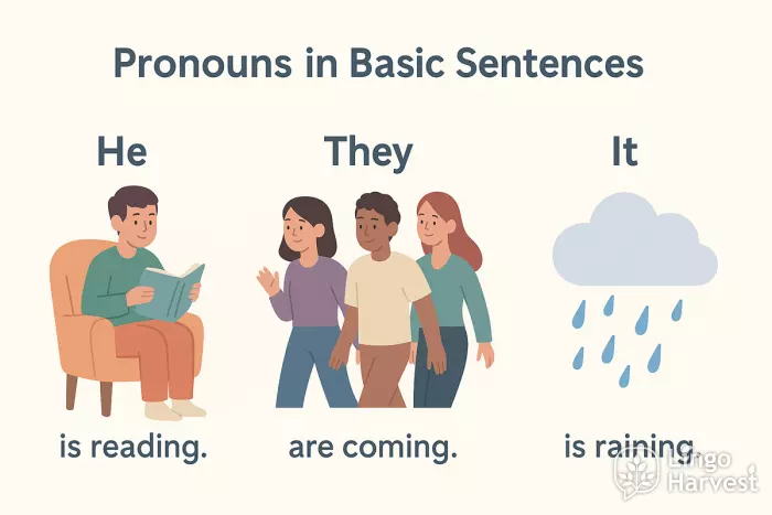 pronouns he they it