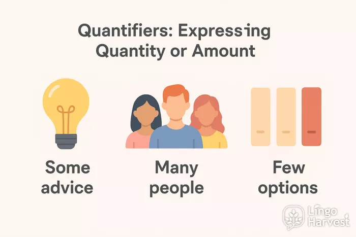 quantifiers some many few