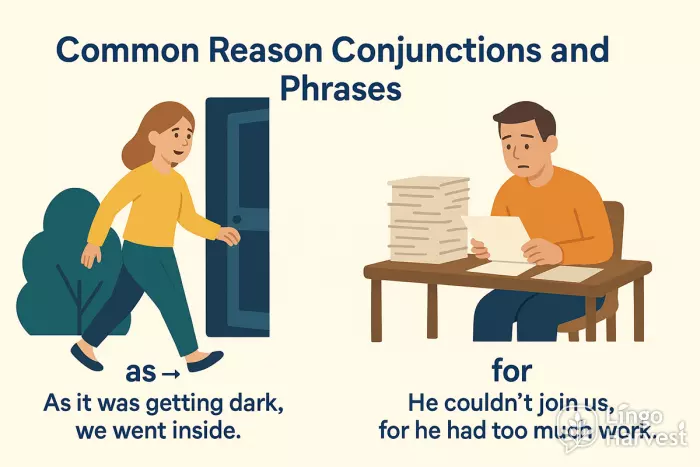 reason conjunctions as for examples