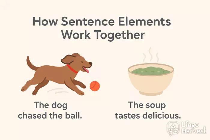 sentence elements dog ball soup