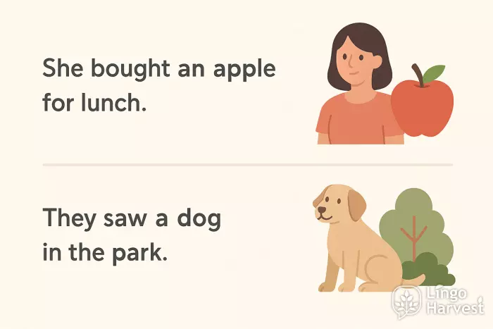simple sentences apple dog