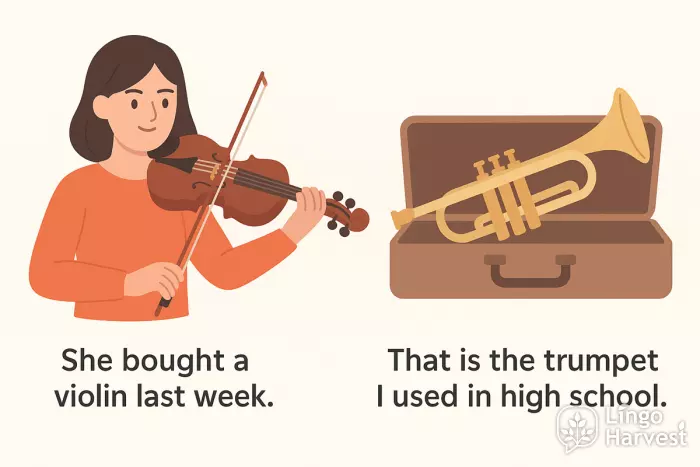 violin purchase and trumpet from school