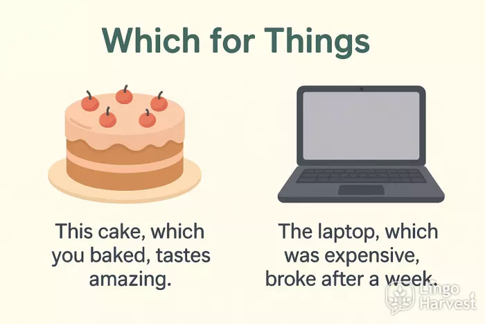 which for things cake laptop