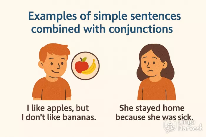 conjunctions but because examples