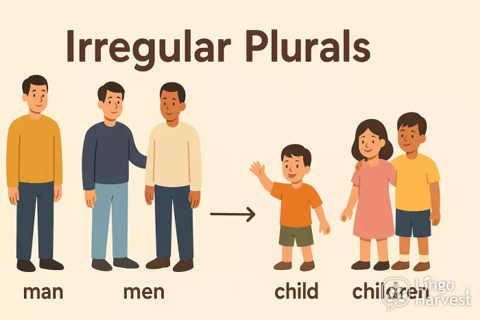 Irregular Plurals - examples