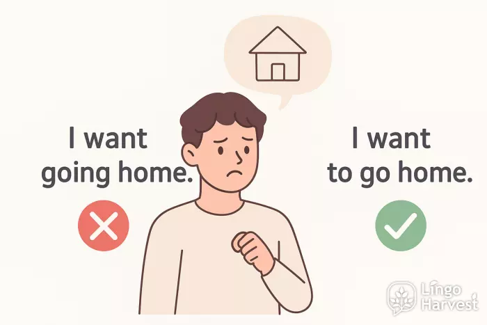 Grammar mistake want to go - verb patterns