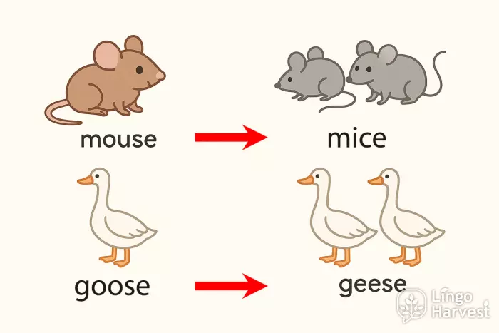 irregular plurals mouse goose