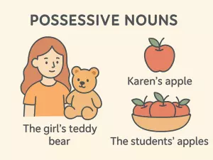 Possessive Nouns: Structural Overview