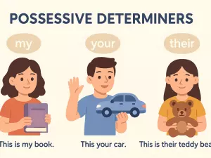 Possessive Determiners: My, Your, Their