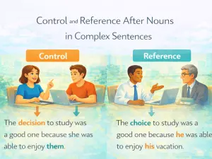 Control and Reference After Nouns in Complex Sentences