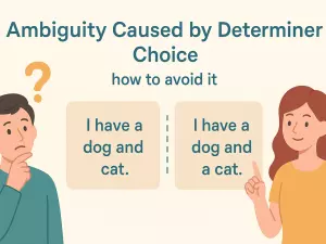 Ambiguity Caused by Determiner Choice: how to avoid it