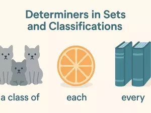 Determiners in Sets and Classifications