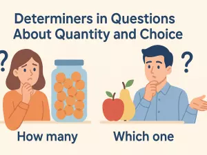 Determiners in Questions About Quantity and Choice