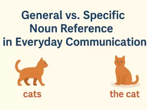General vs Specific Noun Reference in Everyday Communication