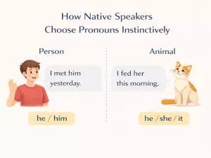 How Native Speakers Choose Pronouns Instinctively