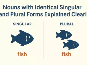 Nouns with Identical Singular and Plural Forms Explained Clearly