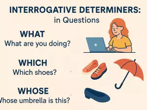 Interrogative Determiners: what, which, whose in Questions
