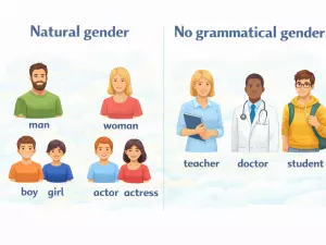 Natural Gender vs Grammatical Gender in English Noun Usage