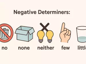 Negative Determiners: no, none, neither, few, little