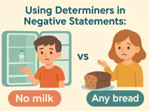 Using Determiners in Negative Statements: no vs any