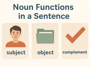 Noun Functions in a Sentence: Subject, Object, and Complement