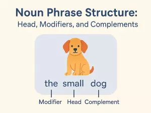 Noun Phrase Structure: Head, Modifiers, and Complements